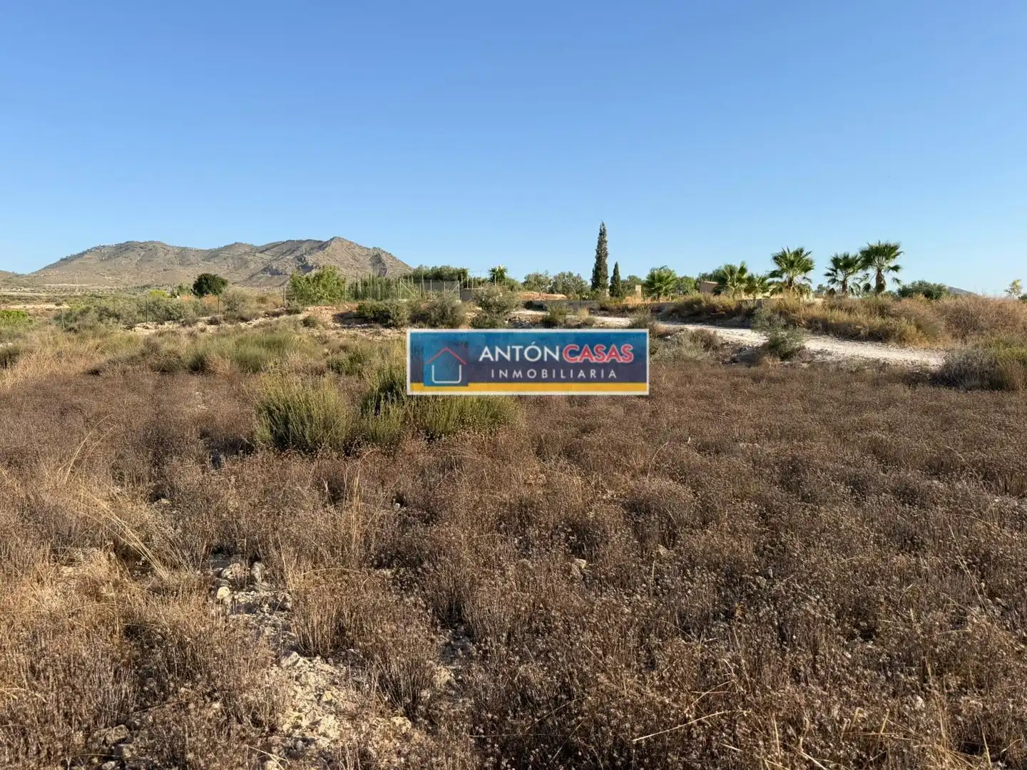 Rural land for sale in Novelda, imagen 8