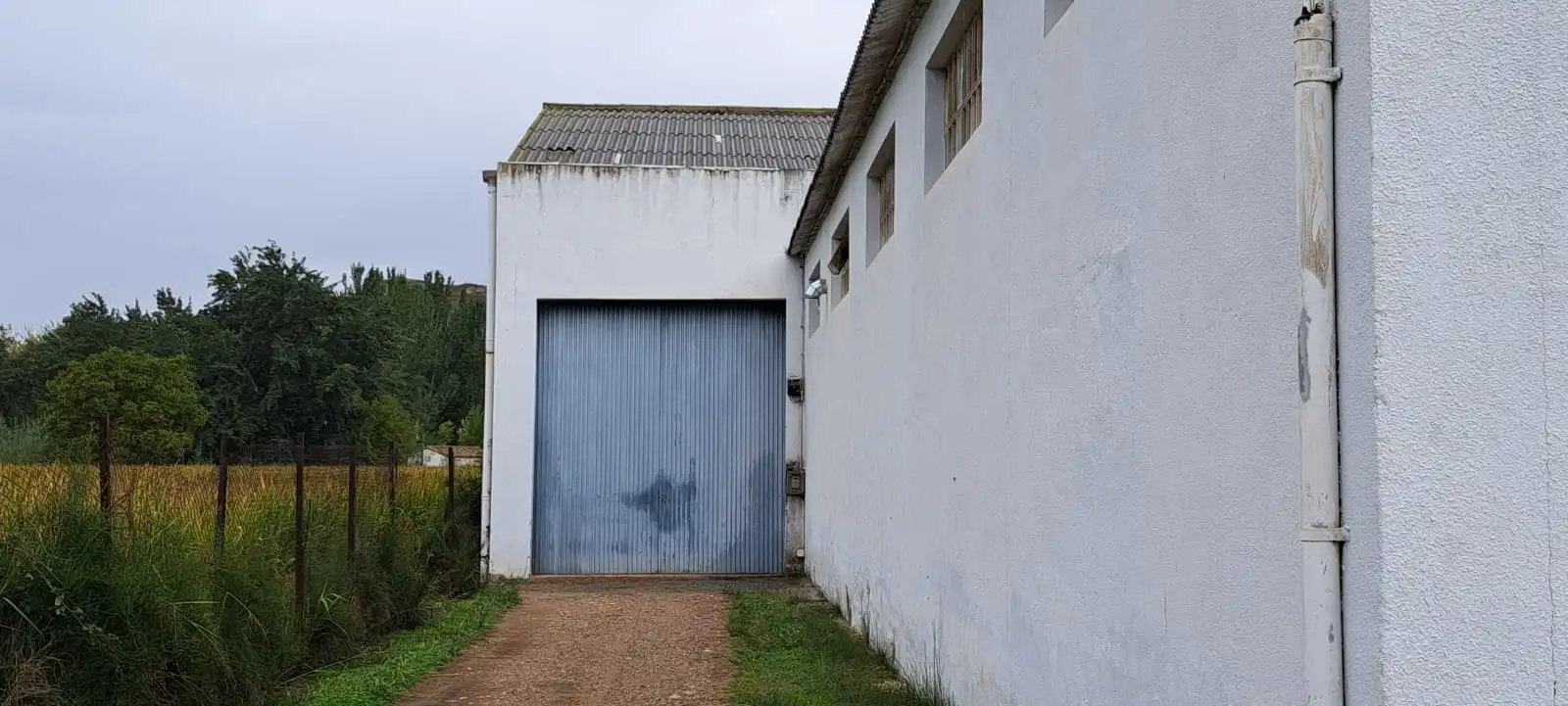 Exterior view of Industrial buildings for sale in Calatayud