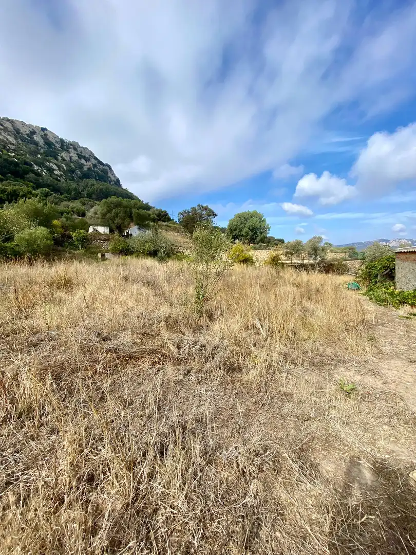 Detached house with garden for sale in Facinas, imagen 20