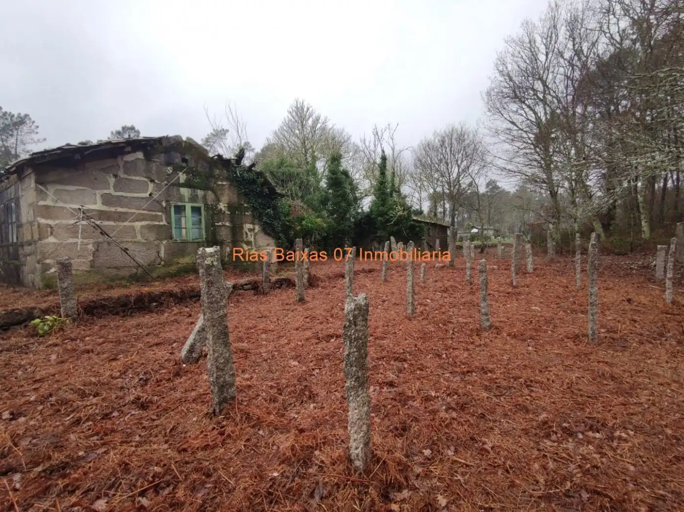 Casa en venta en Salvaterra de Miño, imagen 3