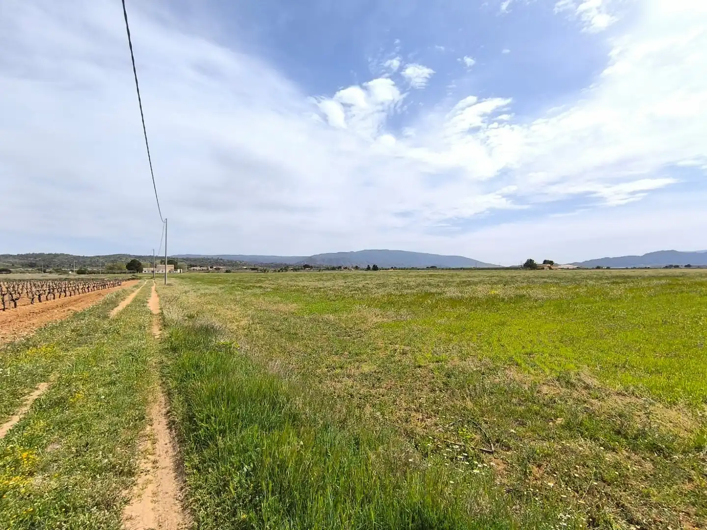 Country homes for sale in Yecla
