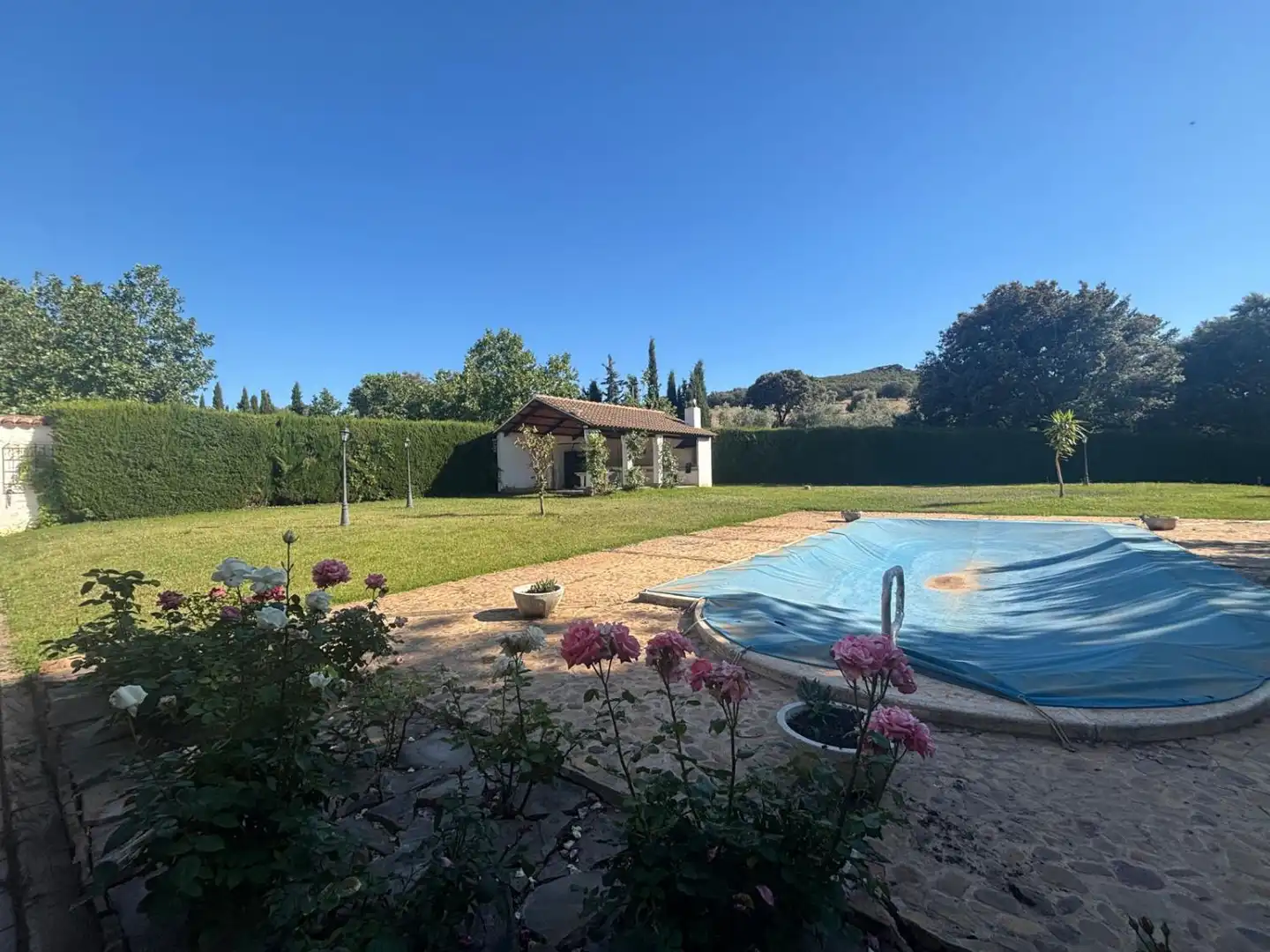 Jardí de Finca rústica en venda en Ciudad Real