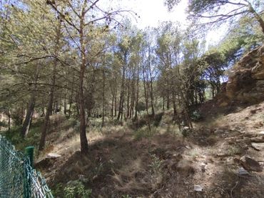 Terreny residencial en venda a Sa Riera - Sa Fontansa