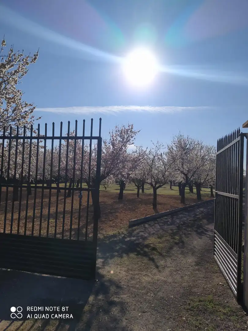 Jardí de Casa o xalet en venda en Villamayor de Calatrava amb Jardí privat, Traster i Piscina