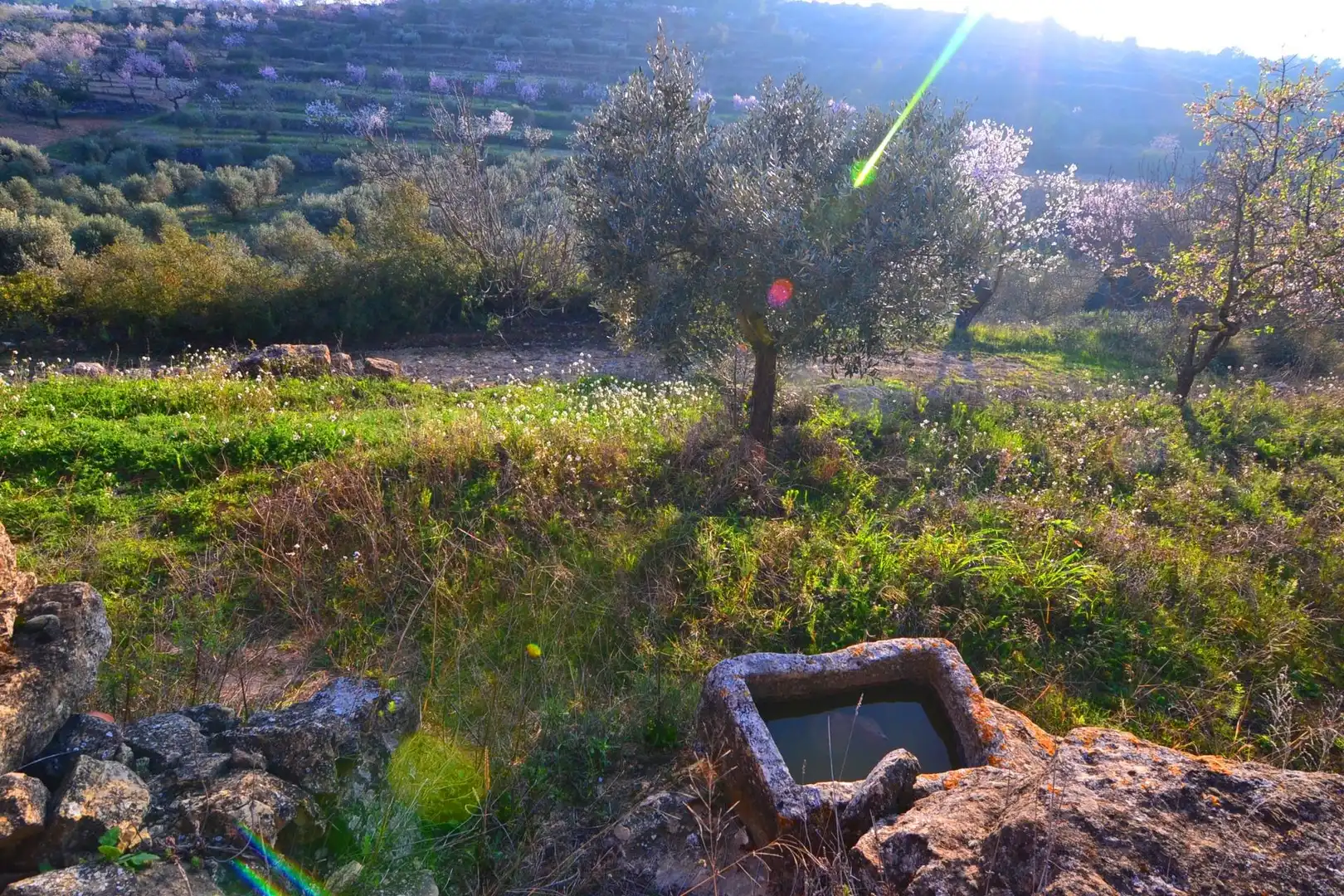 Rural land for sale in Corbera d'Ebre, imagen 24