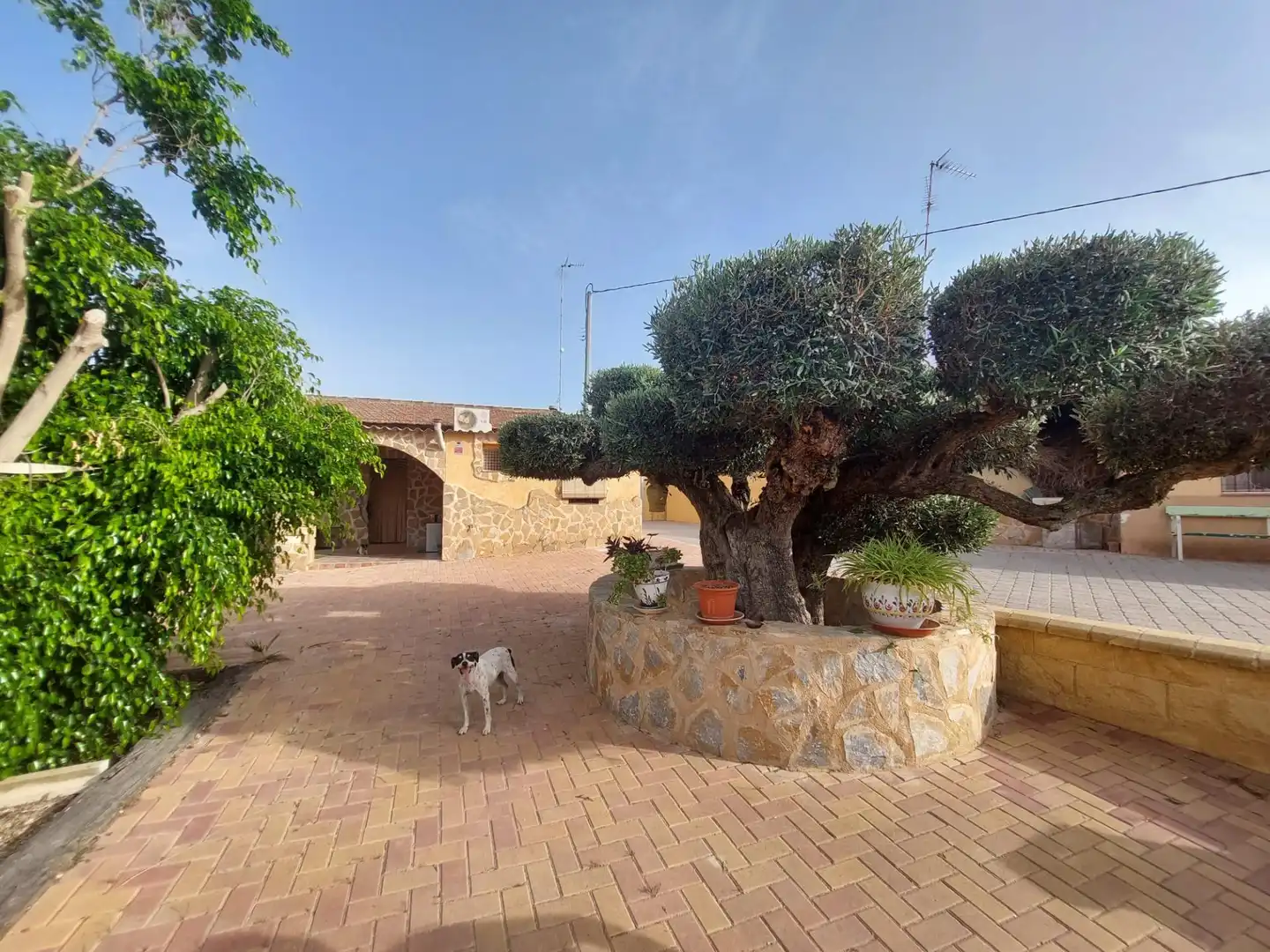 Finca rústica en venda a Cañadas de San Pedro