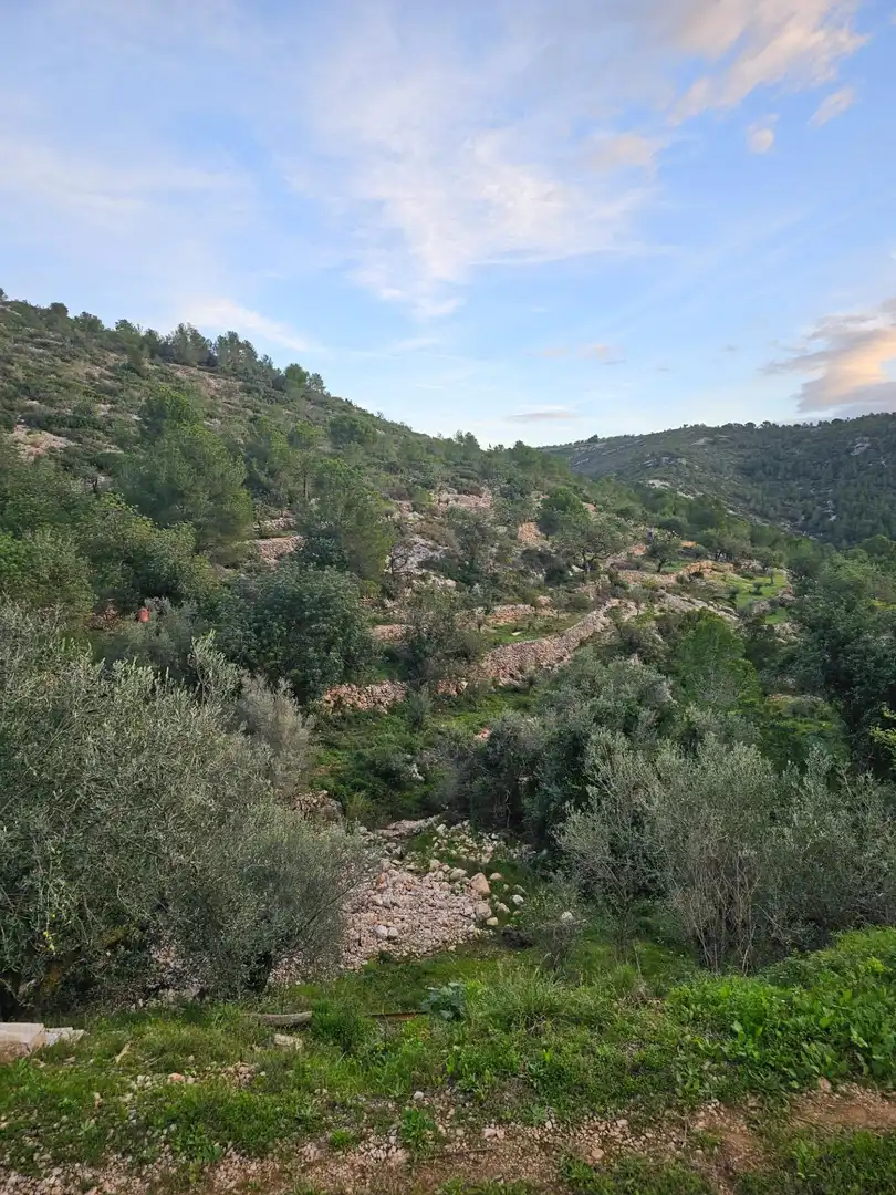 Rural land for sale in Alcanar, imagen 5