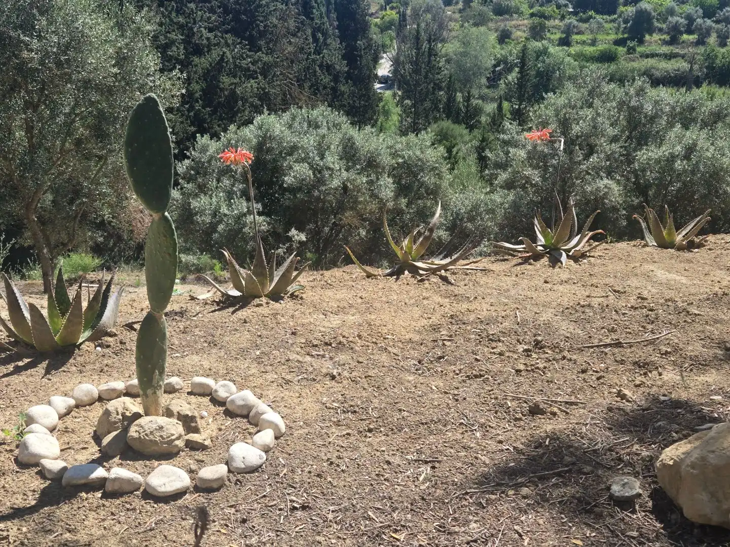 Jardín de Terreno en venta en El Cigarral - Dehesa - Borrajo