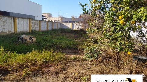 Foto 4 de Residencial en venta en Seroncillo, 34, La Laguna, Chipiona