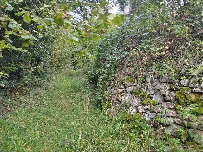 Country homes for sale in Yernes y Tameza