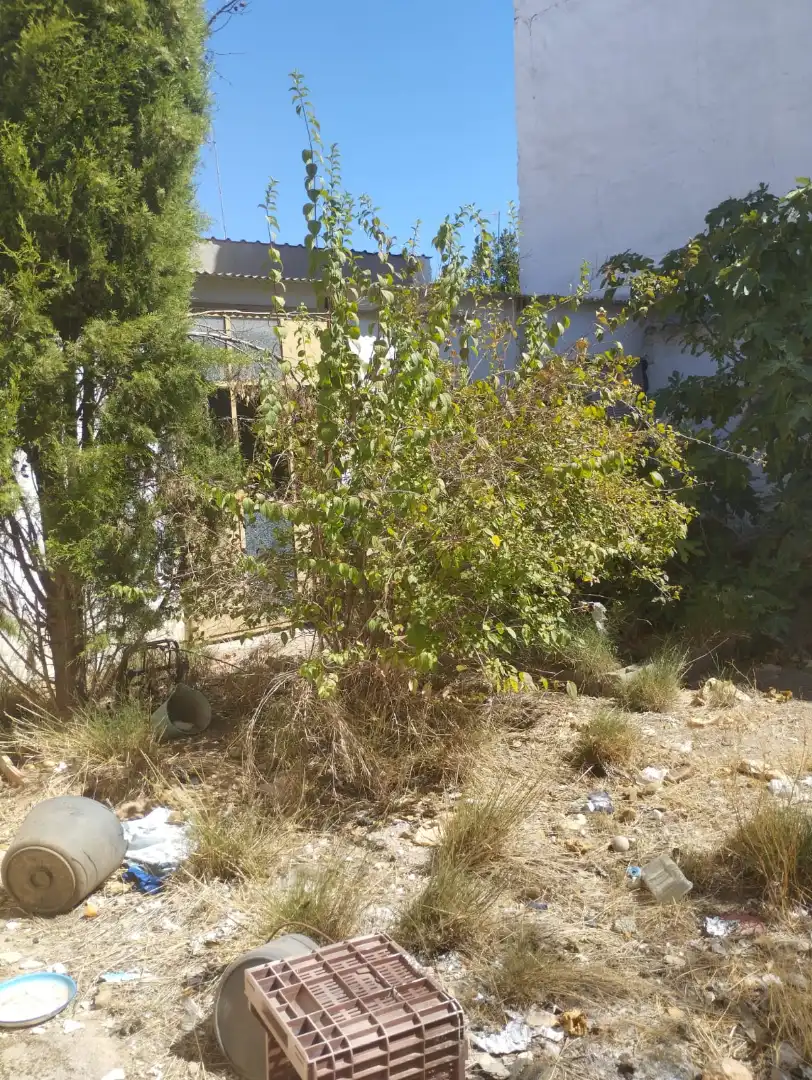 Casa con jardín en venta en Calle Campomanes 58, imagen 10