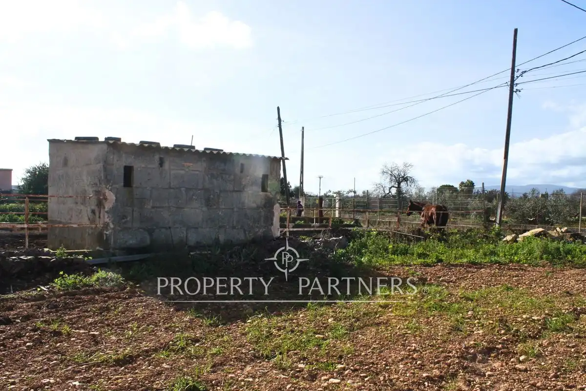 Villa avec jardin à vendre à Son Nebot, imagen 18