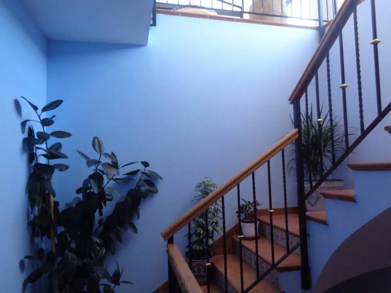 Maison à vendre à Calle Muralla, imagen 56