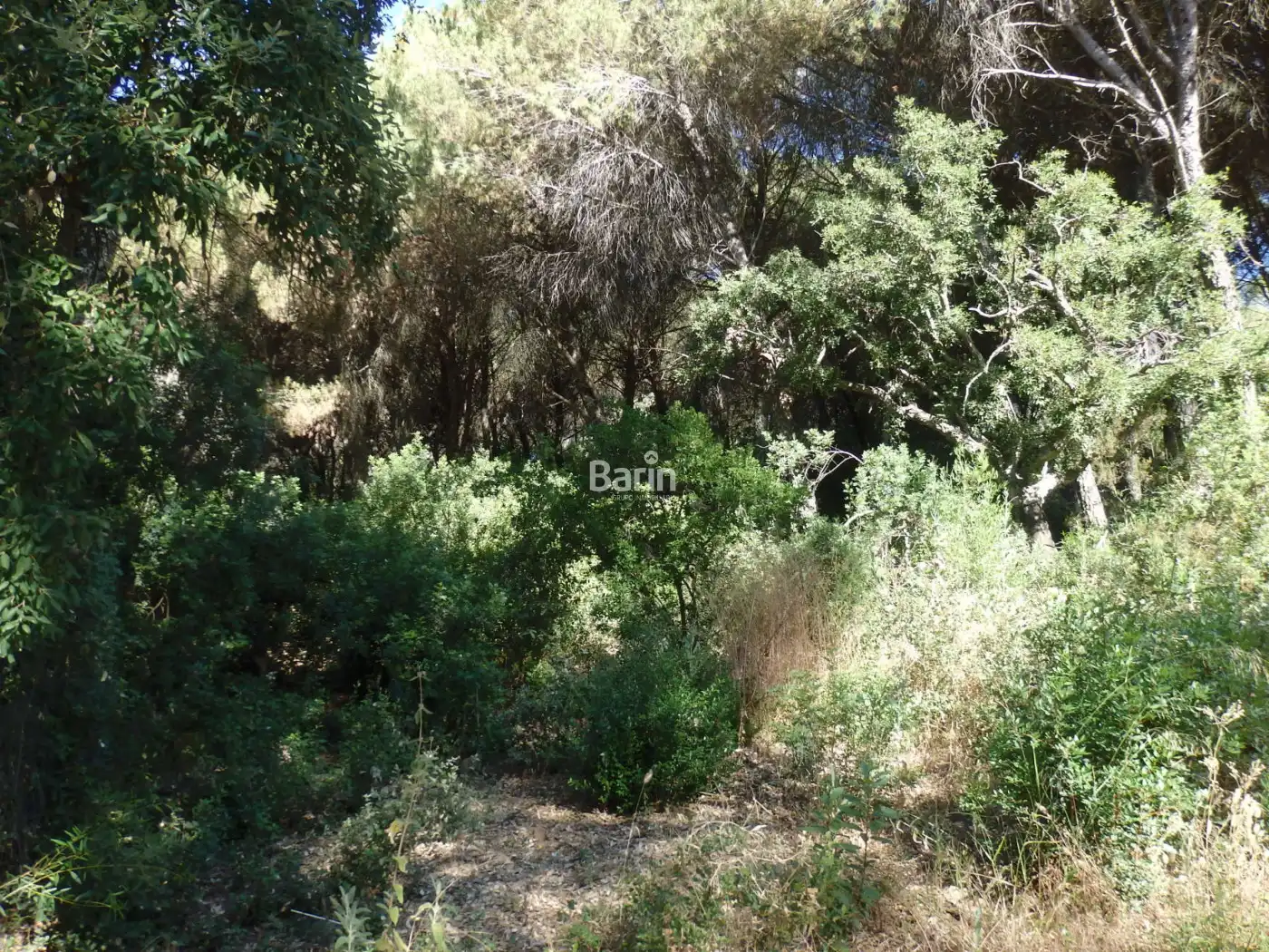 Wohnbaugrundstück zum Verkauf in Periurbano Oeste - Sierra, imagen 6