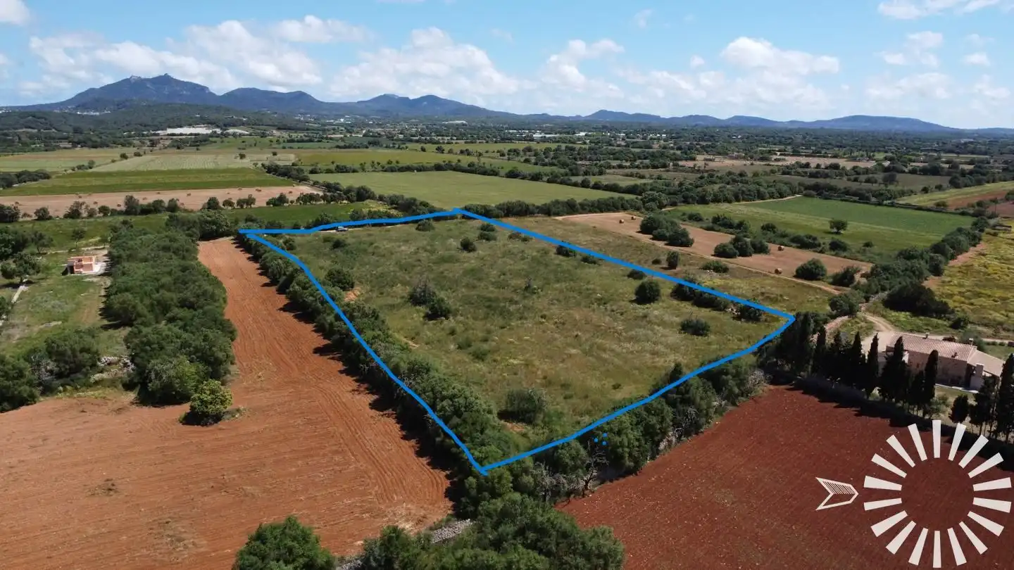 Rural land for sale in Pologino 3 Parcela 107, imagen 22