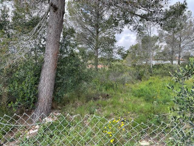 Terreno residencial en Venta en El Casalot