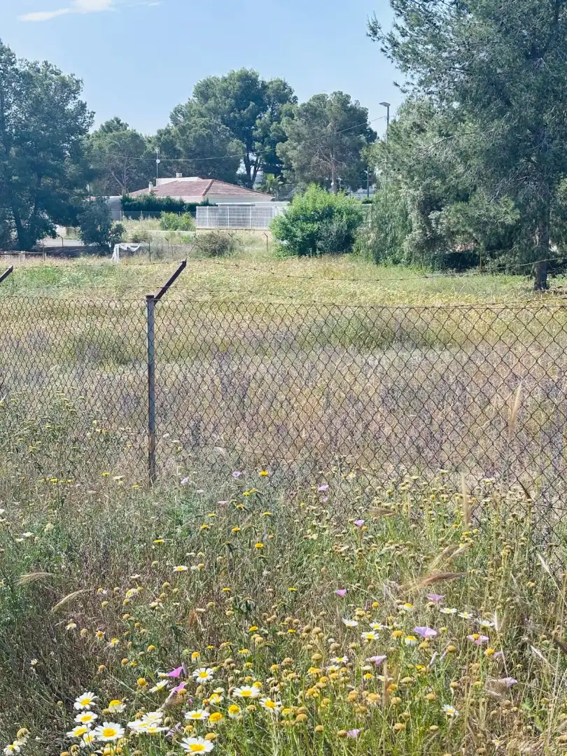 Terreny residencial en venda a Los Valientes, imagen 4