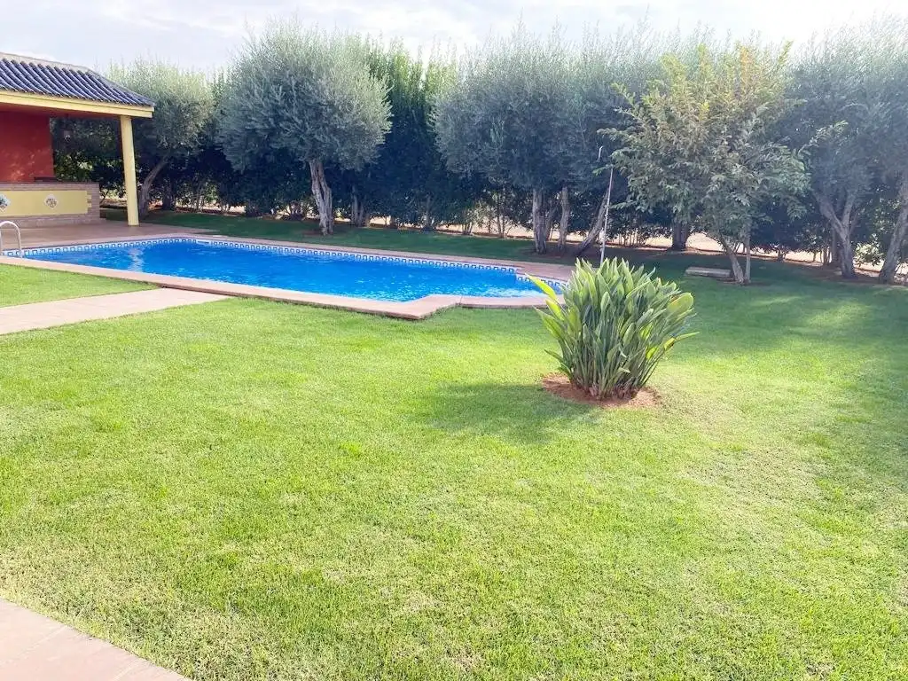 Finca rústica en venda a Mairena del Alcor