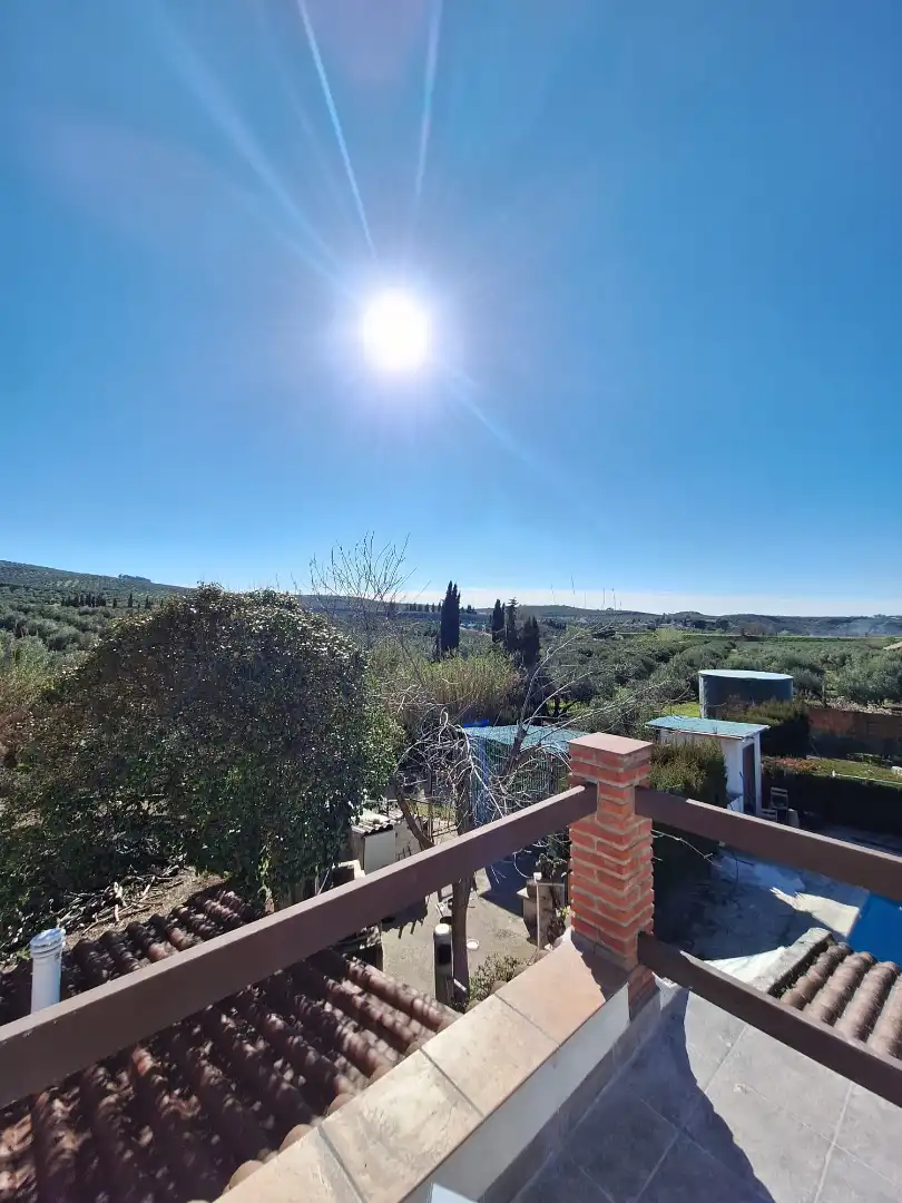 Vista exterior de Casa o chalet en venta en Torredonjimeno con Aire acondicionado, Calefacción y Jardín privado