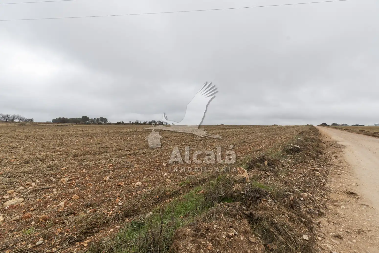 Rural land for sale in Pezuela de las Torres, imagen 16