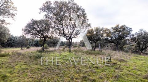 Foto 4 de Residencial en venta en Raya del Palancar - Guadamonte, Villanueva de la Cañada