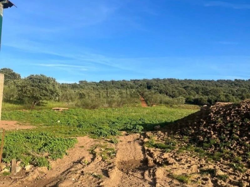 Land for sale in Valverde de Leganés