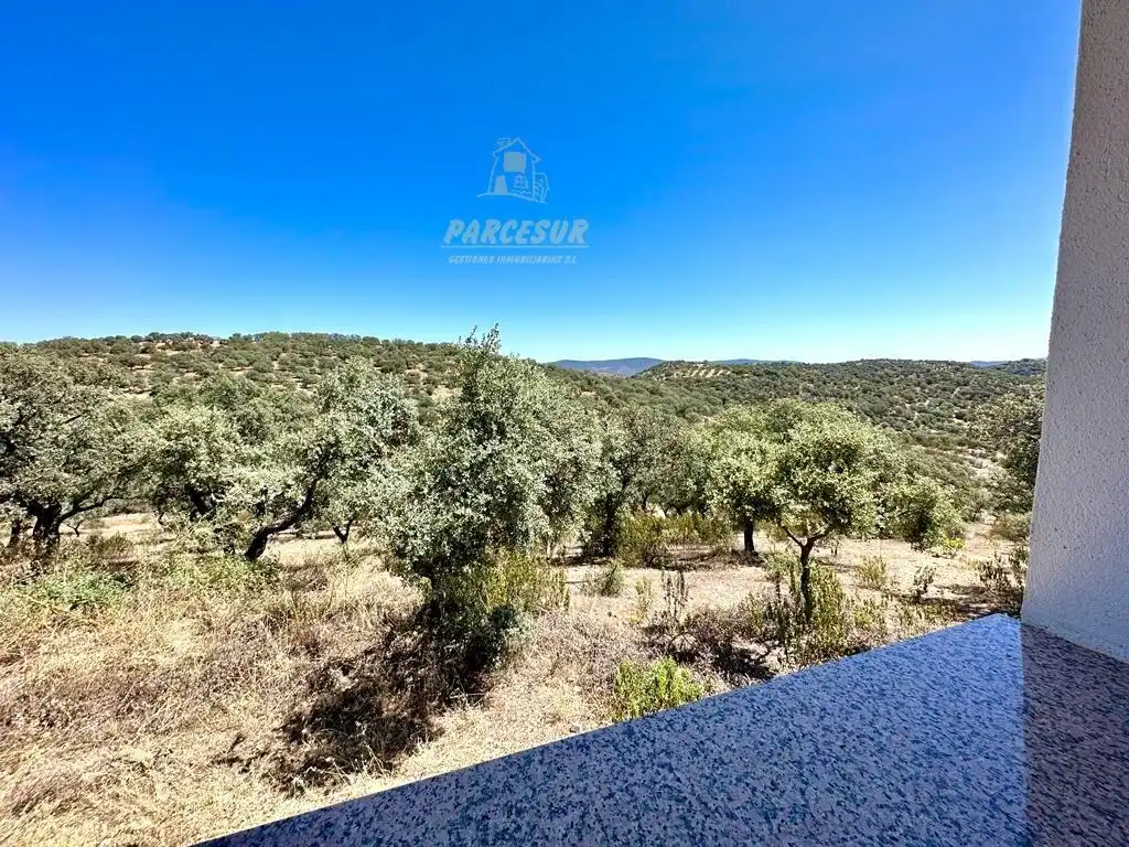 Finca rústica en venta en Villaharta con Trastero y Piscina