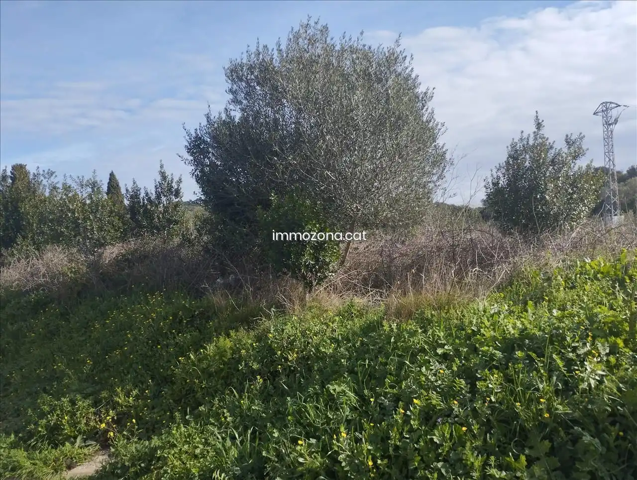 Terreny residencial en venda a Calle Maria A Alberti Vendrell, imagen 10