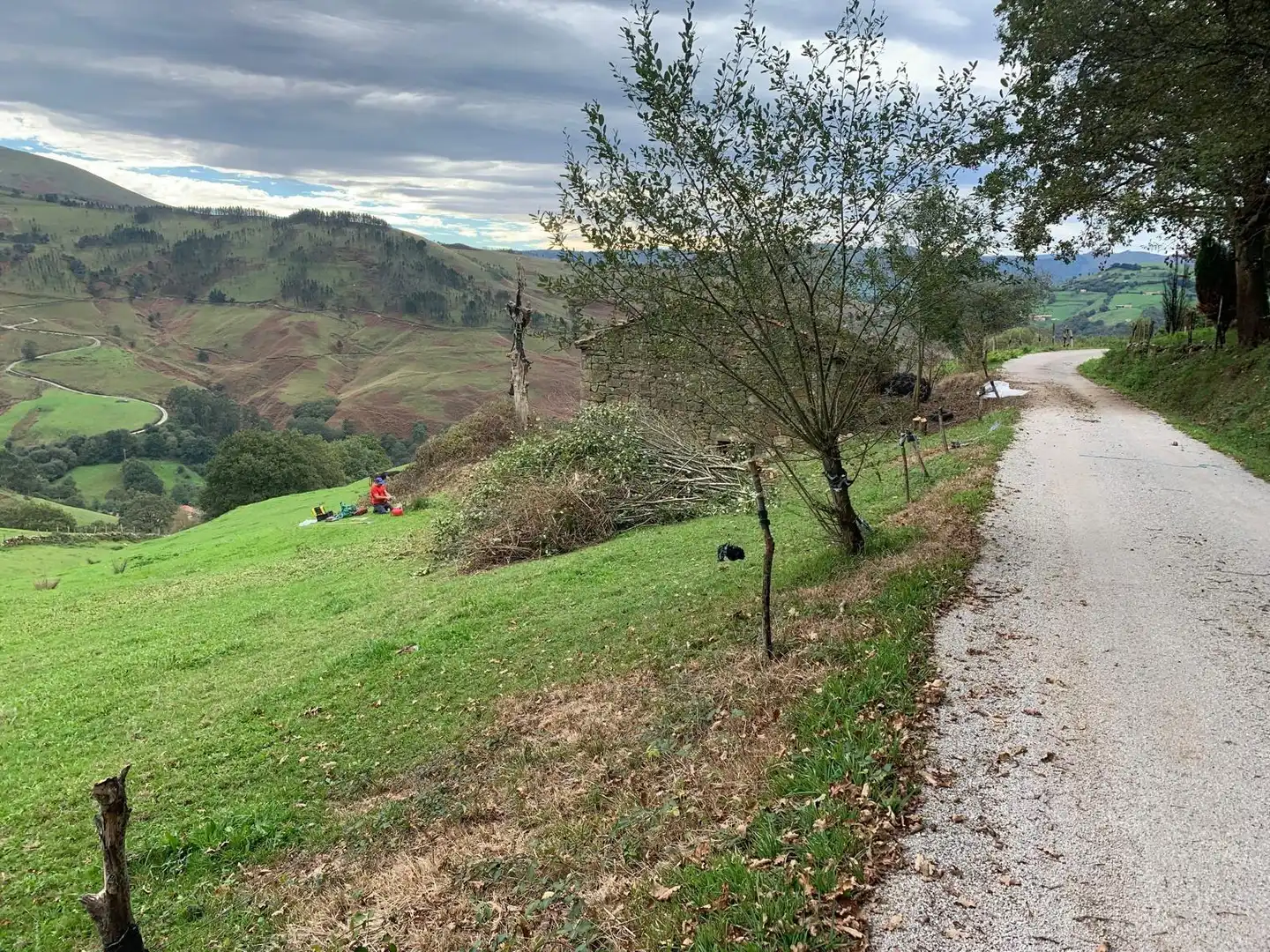 Vista exterior de Casa o chalet en venta en Saro con Jardín privado