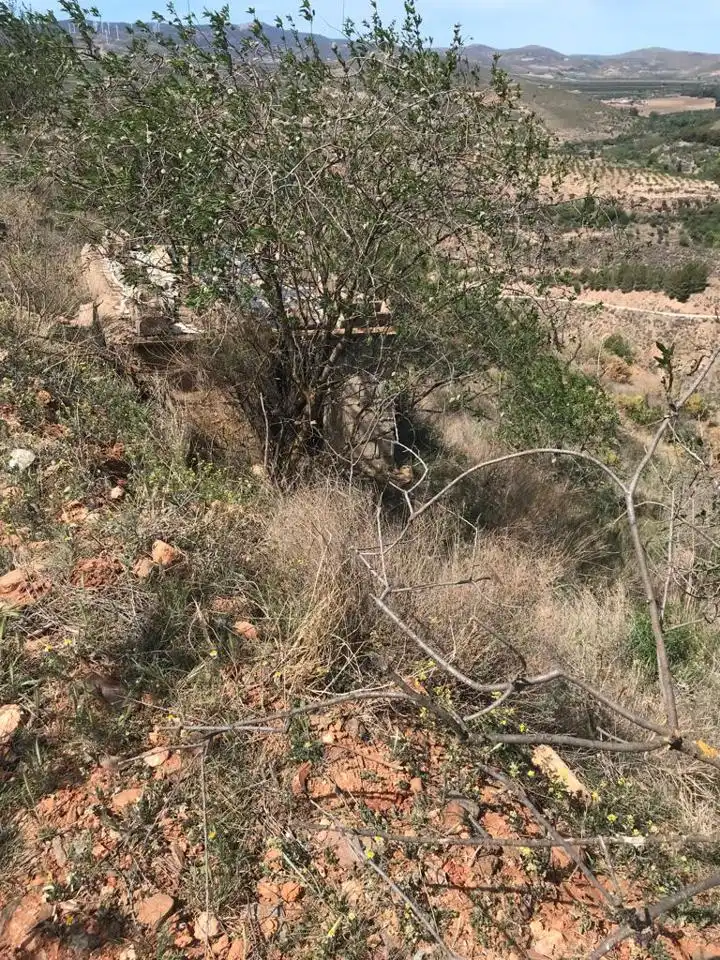 Casa rústica en venda a Dúrcal, imagen 9