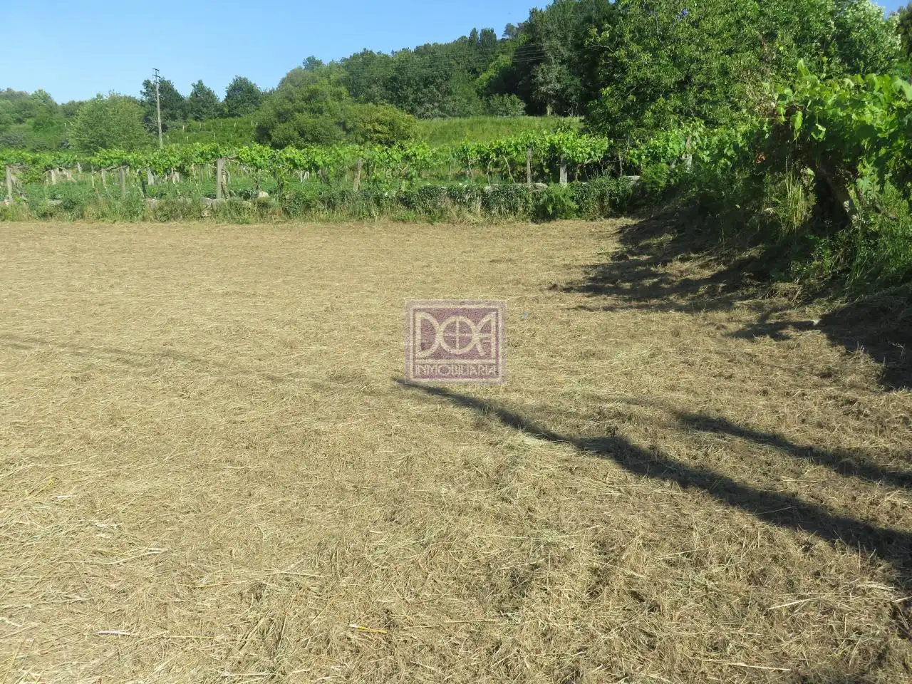 Lands and plots for sale in Mondariz, imagen 7