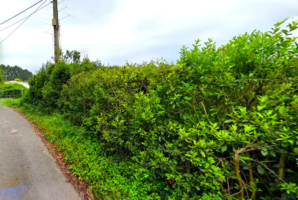 Terreno residencial en venta en Camino de La Coría, imagen 7