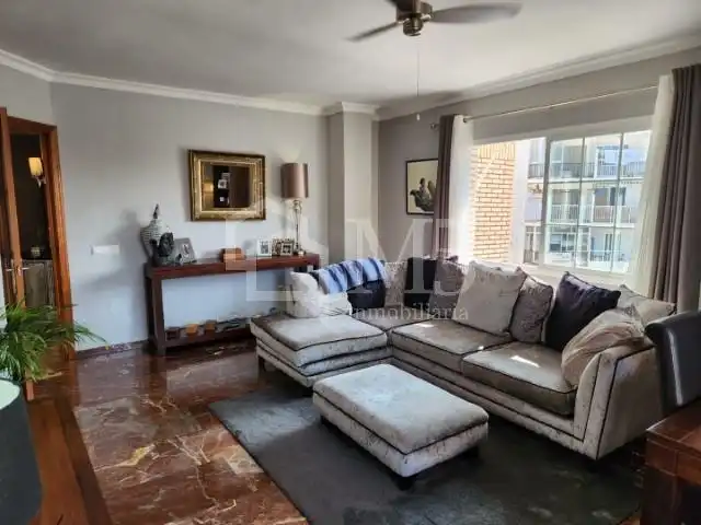 Living room of Flat for sale in Nerja  with Air Conditioner, Terrace and Furnished