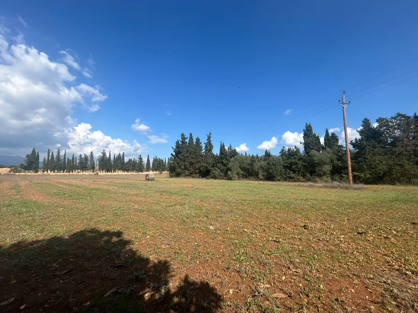 Terreno rústico en venta en Llubí, imagen 12