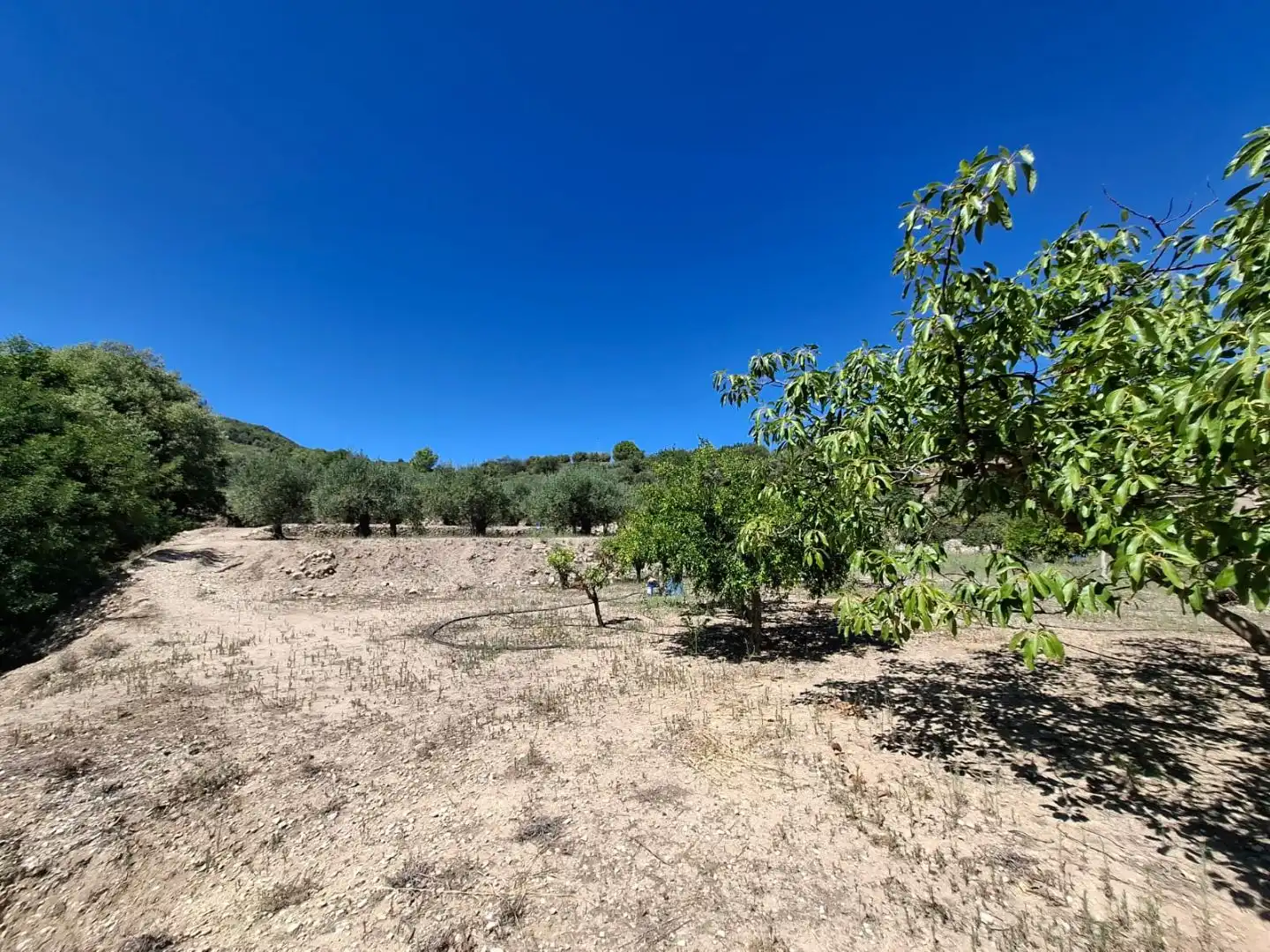 Grundstücke zum Verkauf in Beniardà