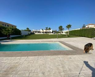 Swimming pool of House or chalet for sale in Estepona  with Private garden, Terrace and Swimming Pool