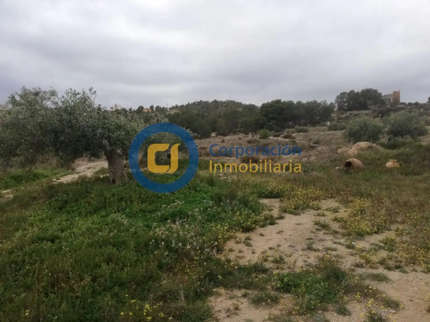 House for sale in Pedanías Norte, imagen 7