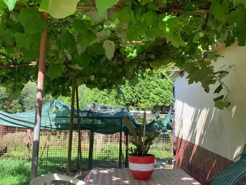 Garden of Flat for sale in Narón  with Private garden and Furnished