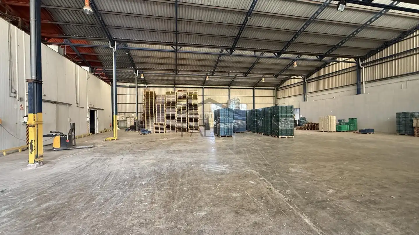 Nave industrial en venta en La Pobla Llarga