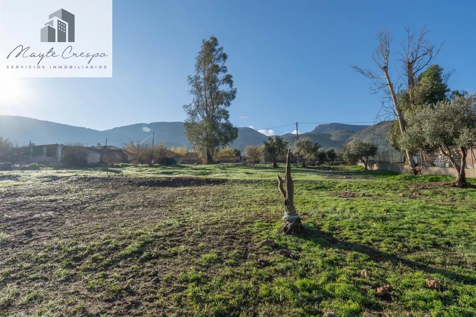 Rural land for sale in Órgiva, imagen 19