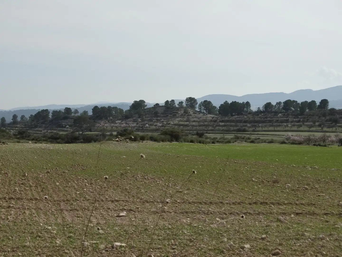 Terreni e lotti in vendita a Moratalla, imagen 12