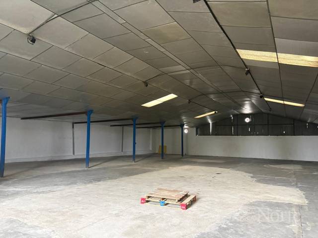 Nave industrial en Alquiler en Camino Salomon De Ds en Fuente El Saz de Jarama