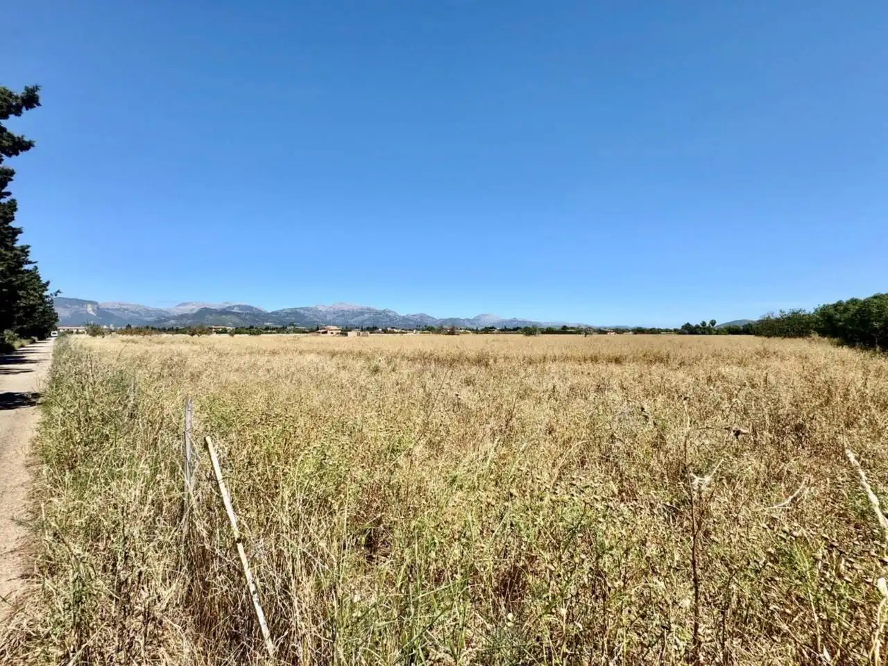 Venta de Solar en Sencelles

Este solar en venta en Sencelles es una excelente oportunidad. Con una