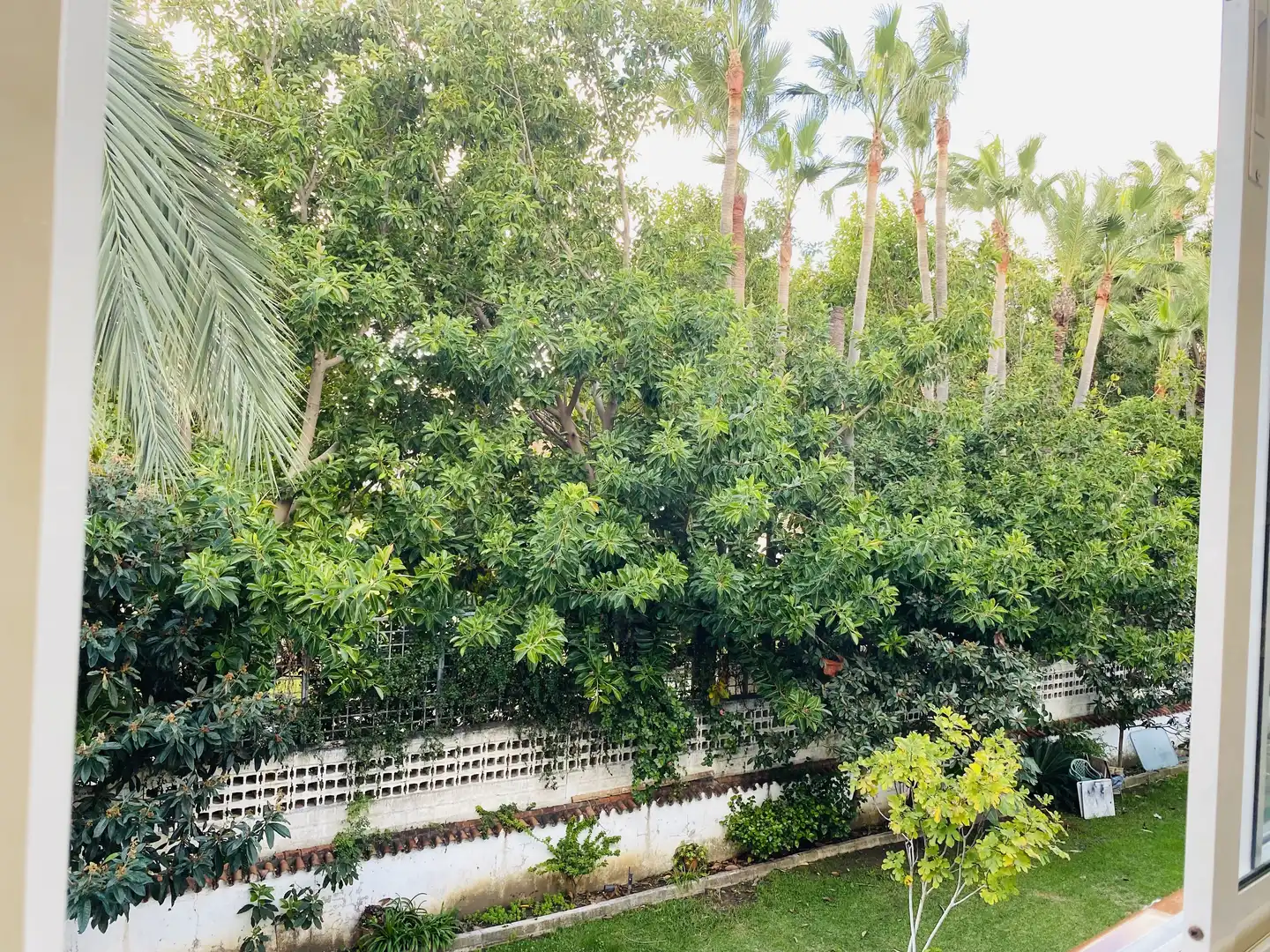 Appartement avec piscine à vendre à Selwo, imagen 13