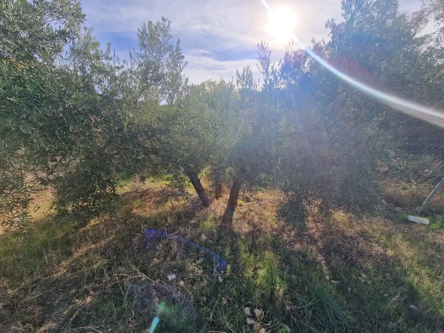 Maison rustique avec jardin à vendre à Cogollos de la Vega, imagen 81