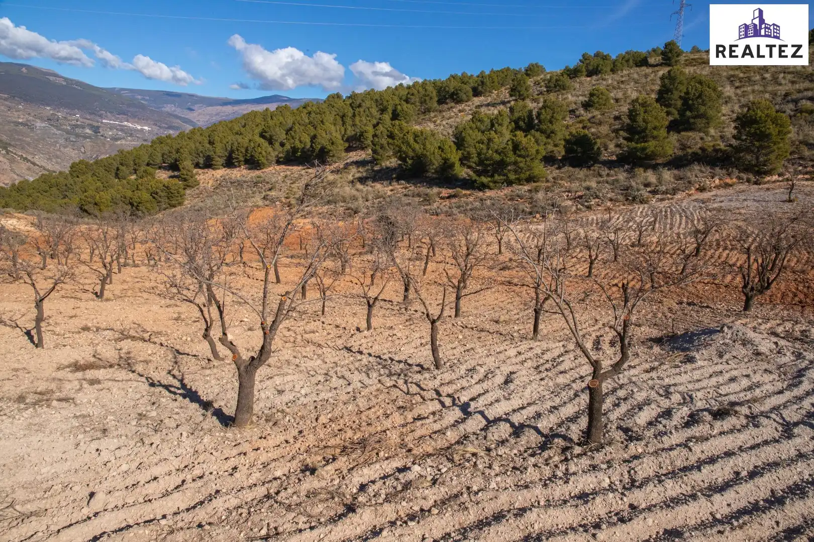 Terrain rustique à vendre à Alcolea, imagen 8