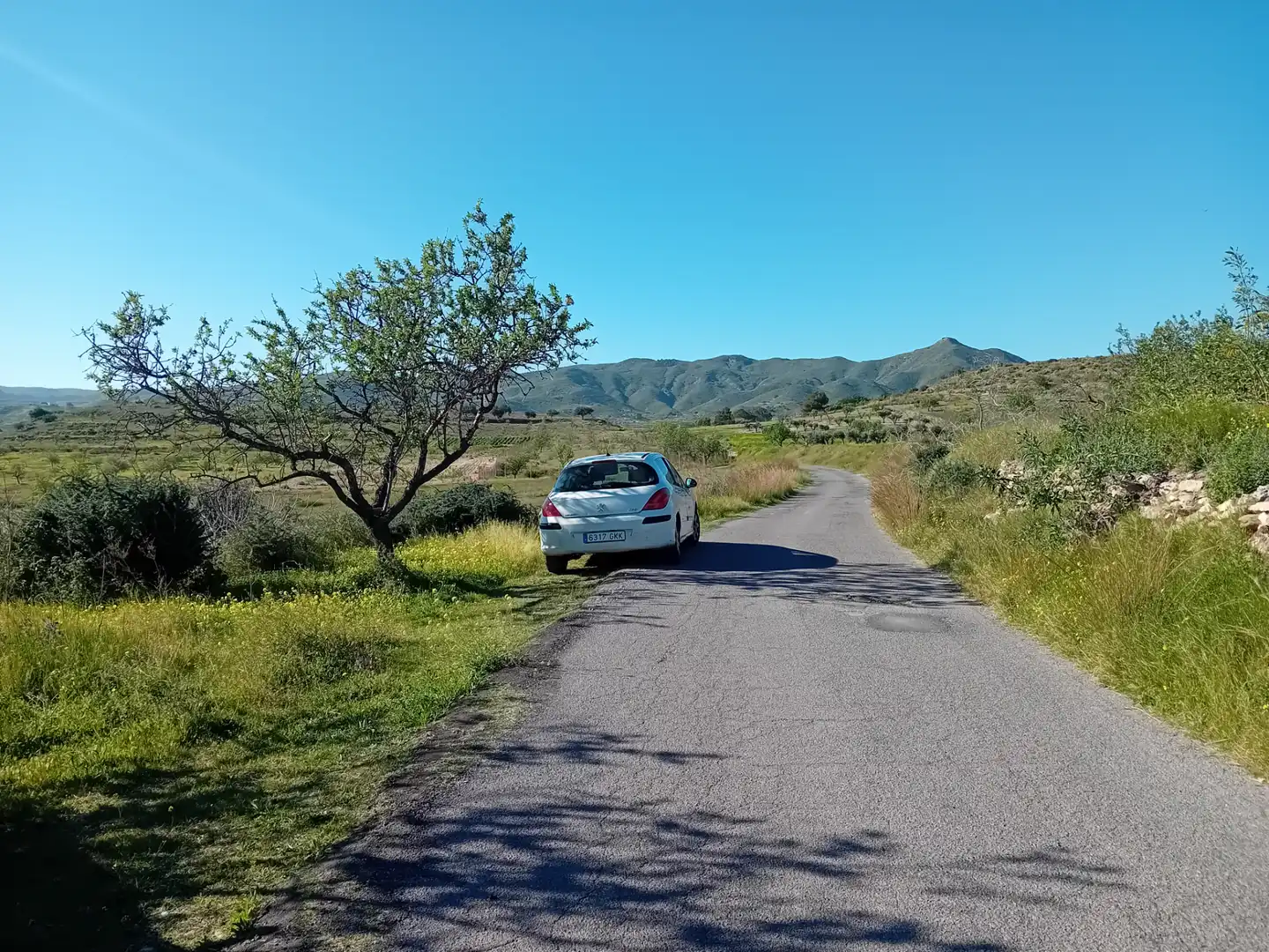 Exterior view of Land for sale in Cartagena