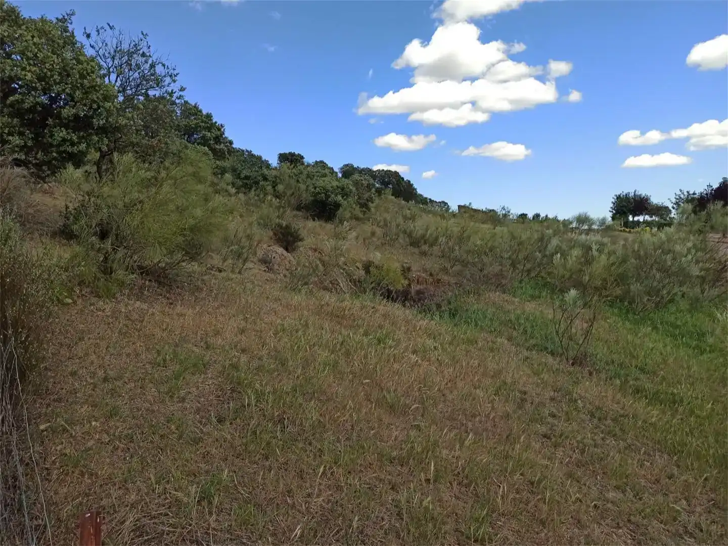 Land for sale in Jaraicejo, Cáceres