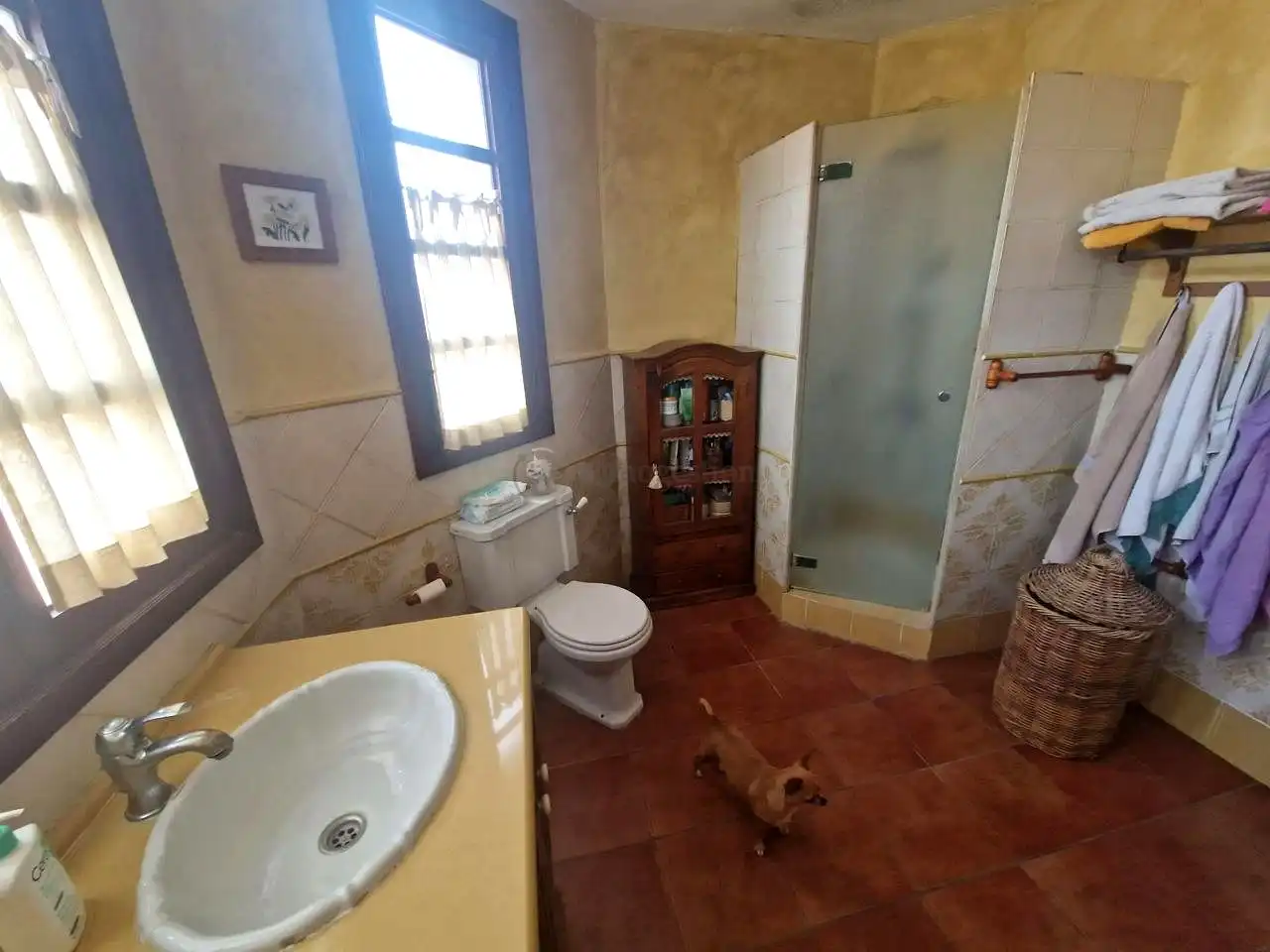 Bany de Casa o xalet en venda en Arona amb Jardí privat, Terrassa i Traster
