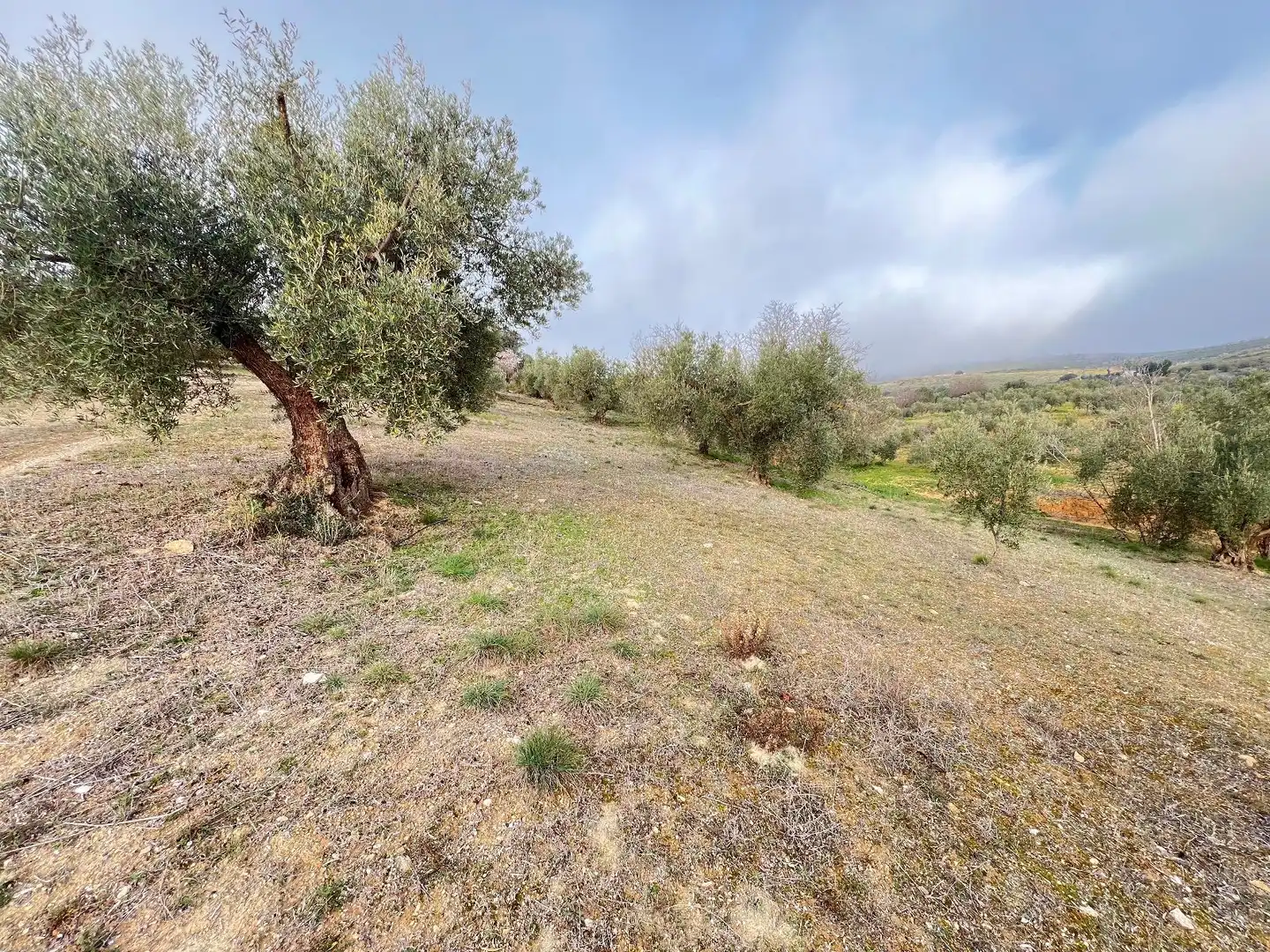 Country homes for sale in Padul  with Heating